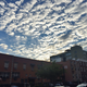 Image for article titled Microsoft Made the Easiest Photo App in the Universe